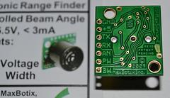 Wally image 5.17.JPG