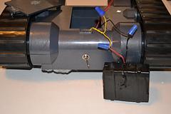 Wally image 5.19.JPG