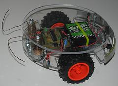 Bug Bot image 7_25.jpg